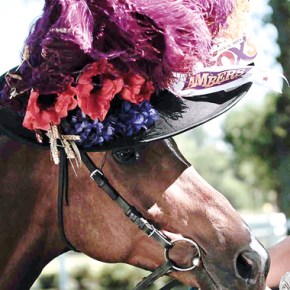 Stephen Jones: A Fantasy of&nbsp;Hats