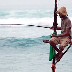 Mirra Fine and Daniel Klein: The Perennial&nbsp;Plate