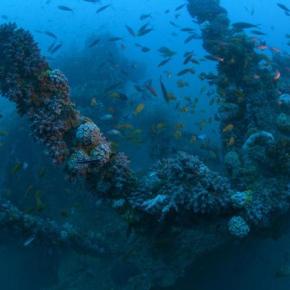 Dharshana Jayawardena, Nishan Perera and Naren Gunasekera:&nbsp;Wrecked!