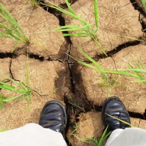 Badra Kamaladasa, D.A Jayasinghearachchi: Water problems mount for South Asian&nbsp;farmers