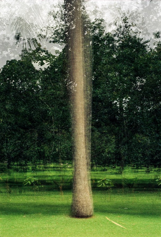 Multiples_Sri_Lanka_767.9_2002