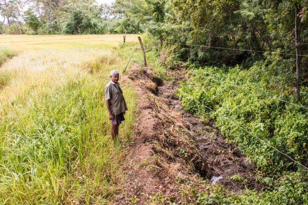 Ariyaratne beside his fence (Smriti Daniel)