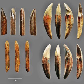 Fa-Hien cave in forefront of new finds on Homo&nbsp;sapiens