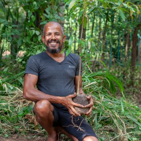 Reforesting Paradise