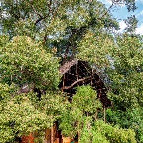 Yohan Weerasuriya: A love letter to the&nbsp;wilderness