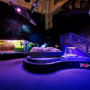 Bikpela’s amazing journey